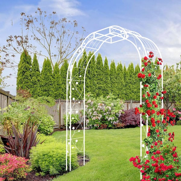 98.4 in. Metal Outdoor Arch Cream White Garden Arbor Trellis ZN