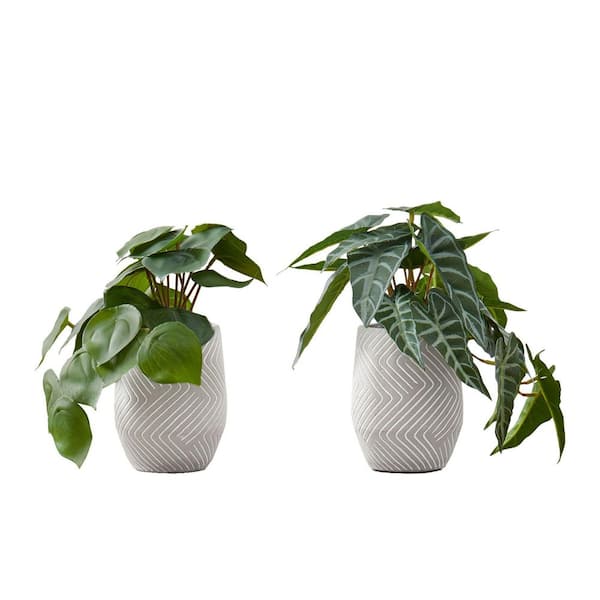 2-Pieces Artificial Plant, 8 in. Alocasia, Indoor Fake Table Potted Greenery, Decorative Green Leaves, White Cement Pots
