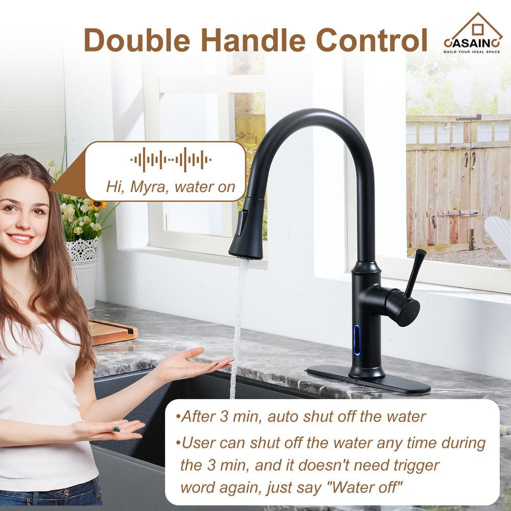 Matte Black Stainless Steel Touchless Pull-Down Sprayer Kitchen Faucet