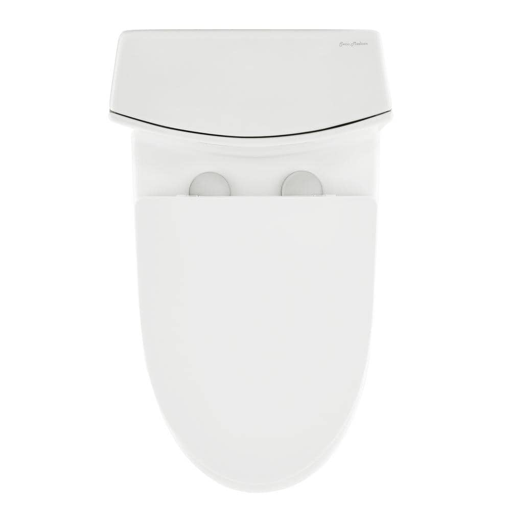 White Glossy One-Piece Elongated Dual Flush Toilet