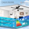 Kviflon 52 in. Black Ceiling Fan with RGB LED & Remote