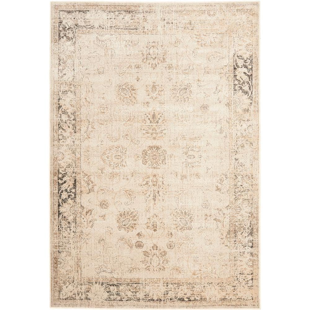 Vintage Stone 8 ft. x 10 ft. Distressed Border Area Rug price history on PriceWatchPro