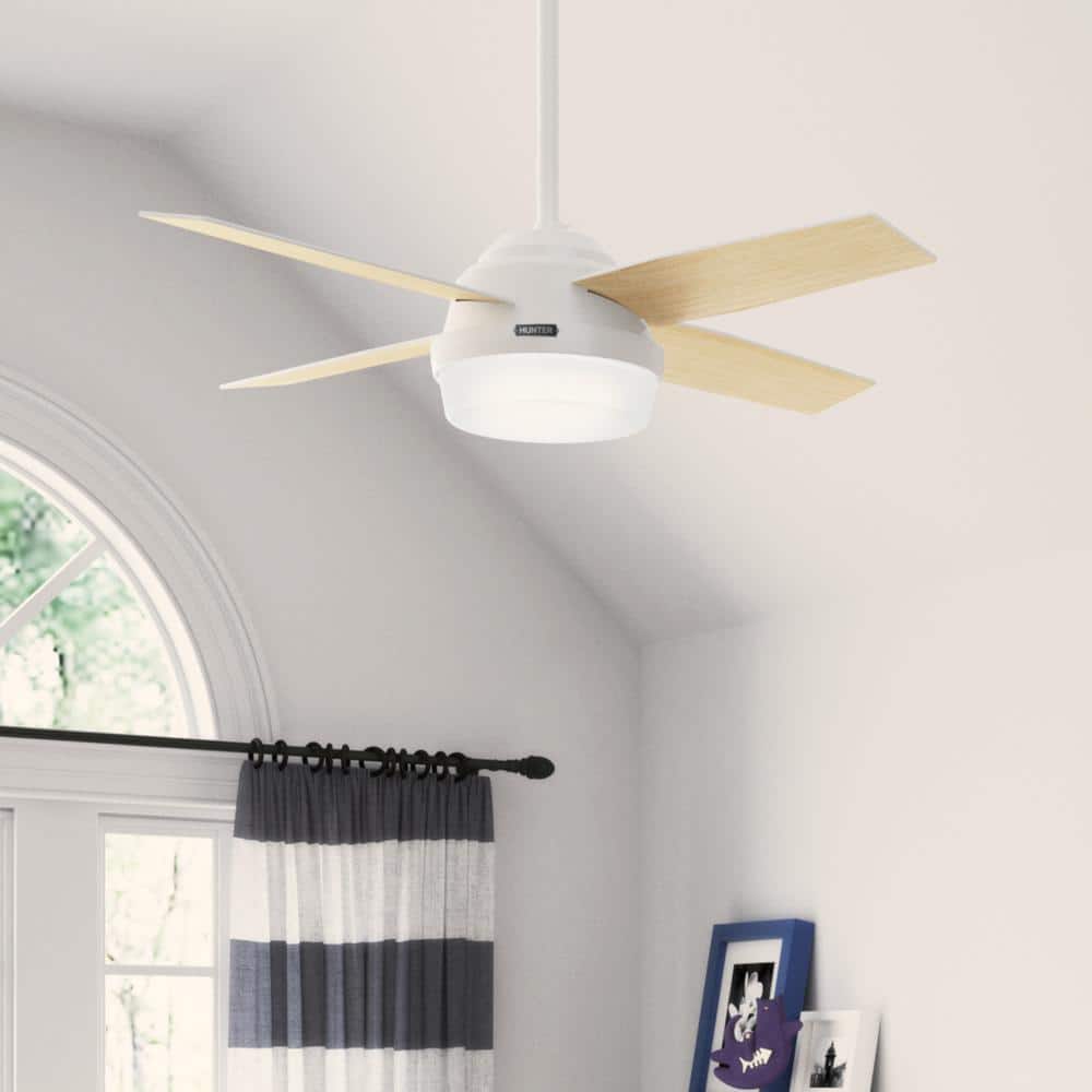 Hunter Dempsey 44 in. Fresh White Indoor Ceiling Fan with LED