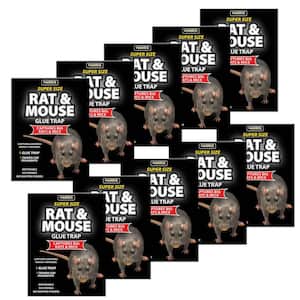 Rat and Mouse Glue Trap Super-Size (10-Pack)