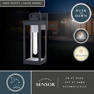 Kinzie 1 Light Dusk to Dawn Black Outdoor Wall Lantern Clear Glass