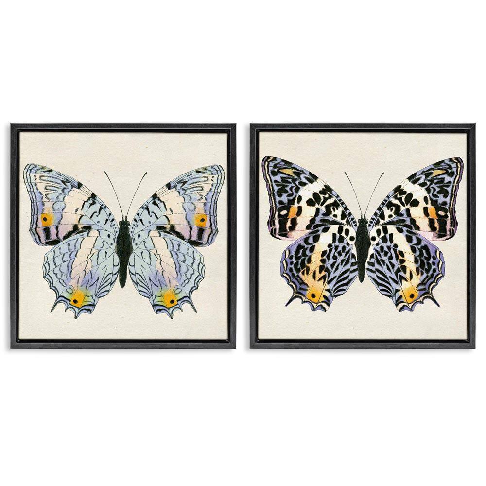Butterflies with Yellow Details by Susan Arnot 2-Pieces Black Floater Frame Animal Graphic Art Print 18 in. x 18 in. price history on PriceWatchPro