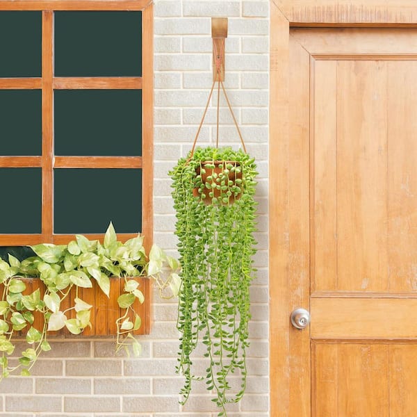 .N/A 6.8 in. Plant Hangers Outdoor, Hanging Plant Hooks for Indoors, Wooden Wave-Shaped for Wall Plant Baskets Hooks (2-Pack)