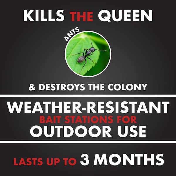 Ant Shield Outdoor Killing Stakes (6-Count) (2-Pack)