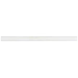 Bianco Dolomite White 0.75 in. x 12 in. Honed Marble Pencil Liner Tile Trim