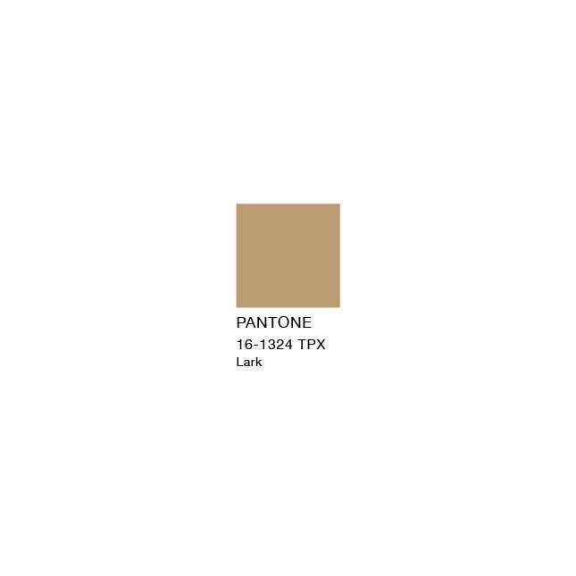 Natural Jute and Polypropylene Rectangular Area Rug, 7'10" x 10'