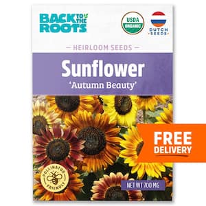 Large Grey Striped Sunflower Seeds 6140 | OSC Seeds