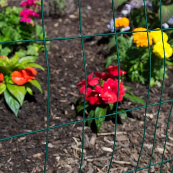 GARDEN CRAFT 50-ft x 4-ft Green PVC Coated Steel Welded Wire Rolled Fencing  with Mesh Size 2-in x 3-in in the Rolled Fencing department at