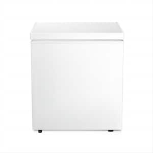 20.67 in. W 1.8 Cubic Feet Manual Defrost Garage Ready Chest Freezer with Adjustable Temperature Controls in White