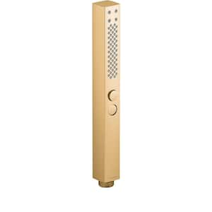 Shift Plus 2-Spray Patterns 1.13 in. Wall Mount Handheld Shower Head 1.75 GPM in Vibrant Brushed Moderne Brass