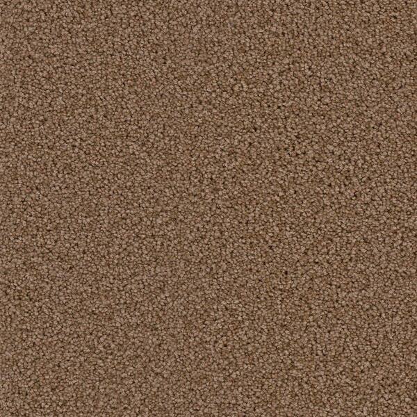 TrafficMaster Carpet Sample - Hideaway I - Color Homeport Texture 8 in. x 8 in.
