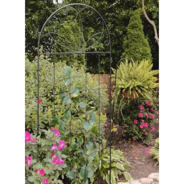 80 in. H Black Metal Scroll Curved Garden Trellis