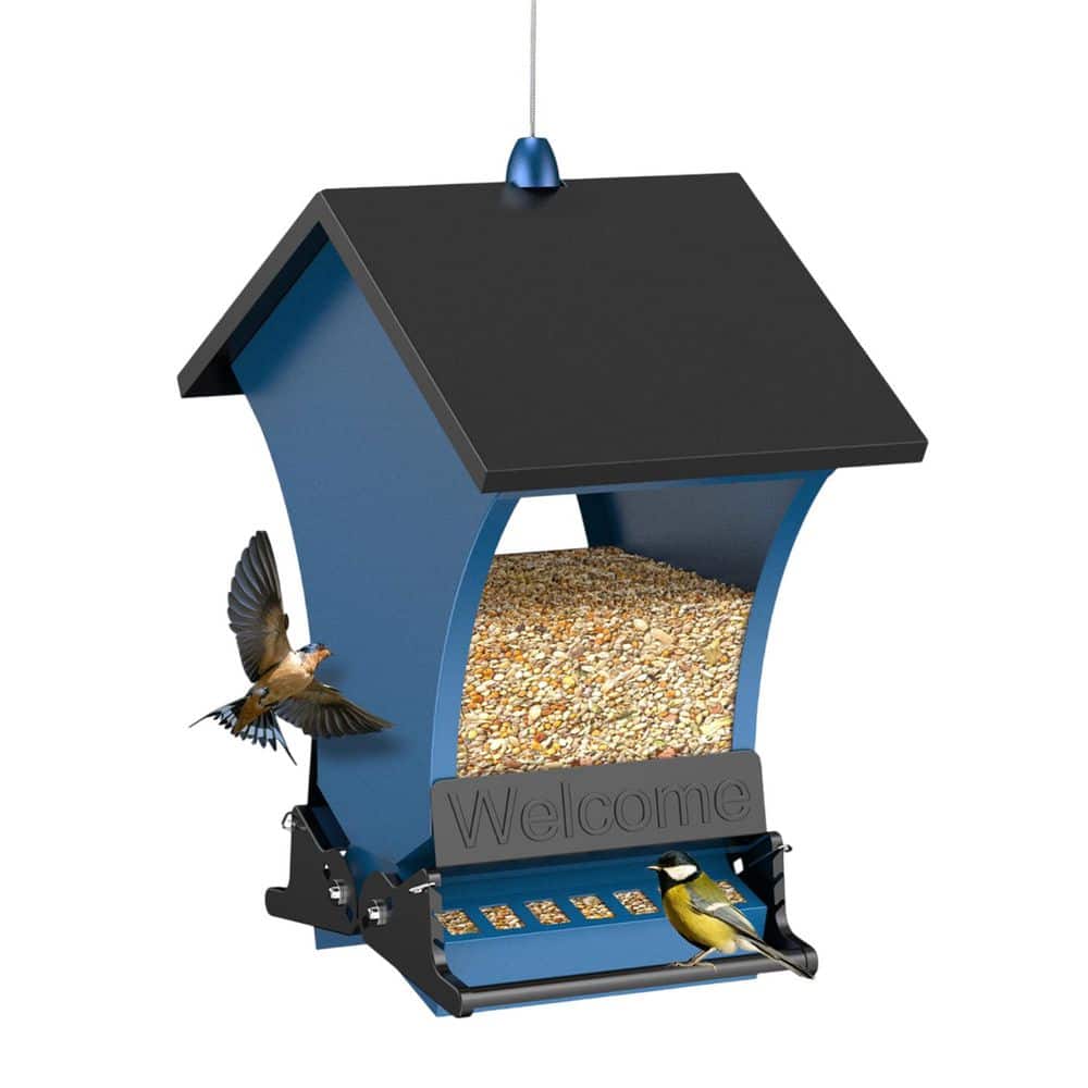 Blue 5LB Metal Hanging Bird Feeder Squirrel Proof Rain Shelter Large Capacity for Cardinals Chickadees Jays 1-Pack price history on PriceWatchPro