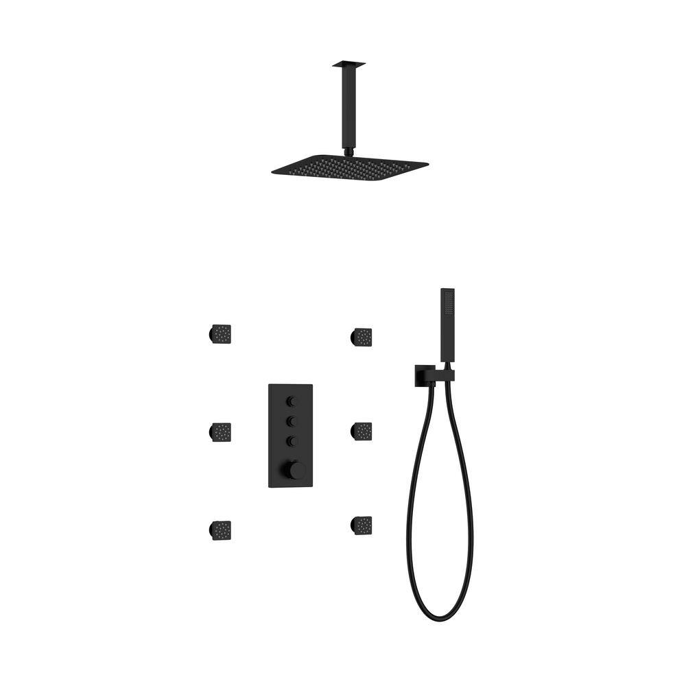 CASAINC Thermostatic 2Spray Patterns 12 in. Dual Ceiling Mount Fixed