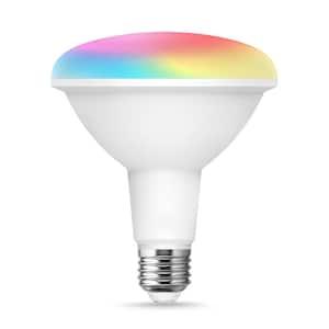 100-Watt Equivalence BR40 LED RGB Color Changing 2700K-6000K Wi-Fi Smart Light Bulb (1-Pack)