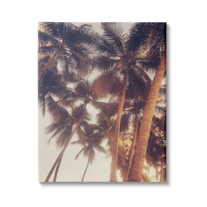 "Sun Bleached Palm Tree Tops Vintage Summer Sky" by Acosta Unframed Print Nature Wall Art 30 in. x 40 in.