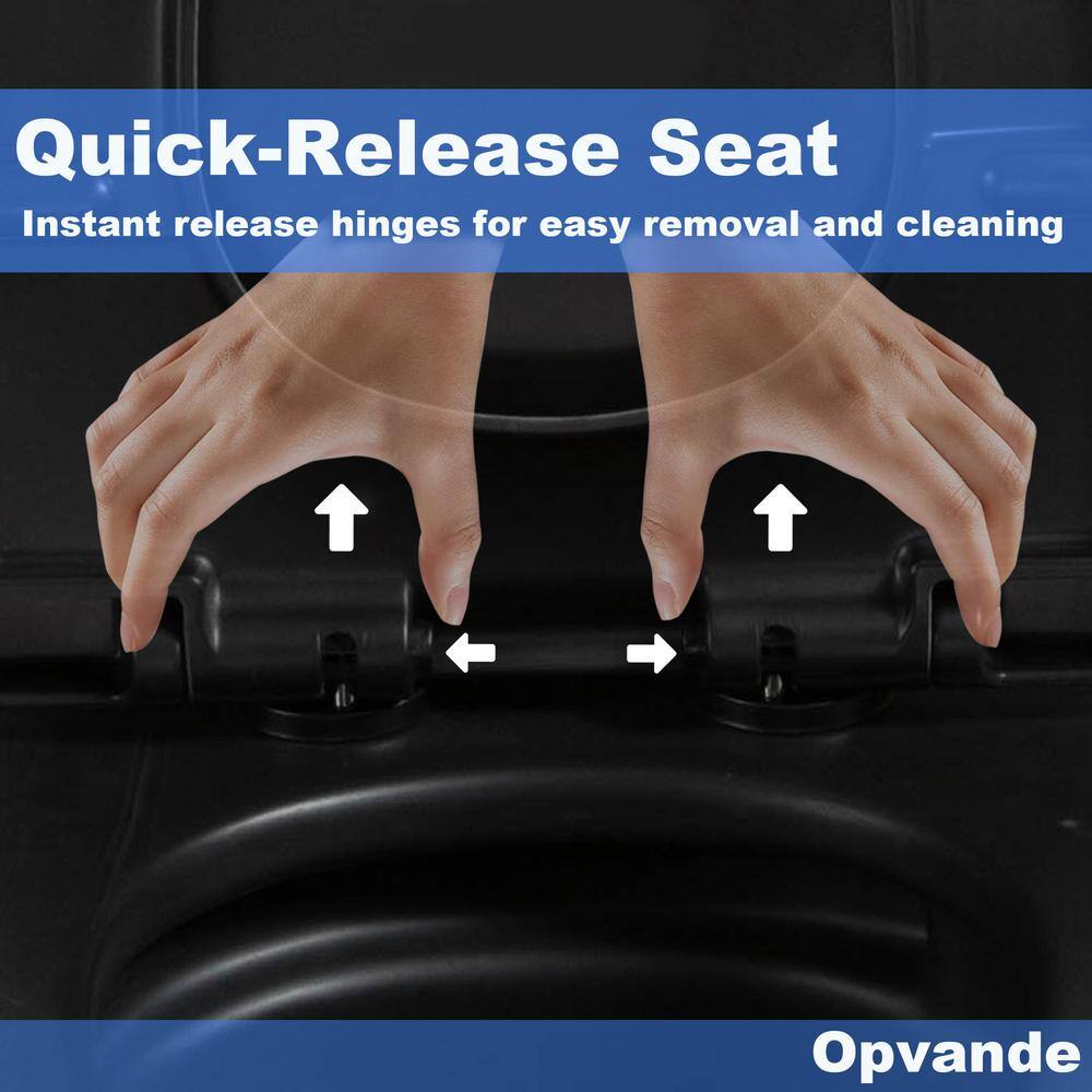 Matte Black Ceramic One-Piece Dual Flush Elongated Toilet