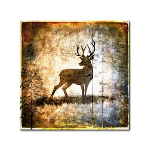 18 in. x 18 in. High Country Deer by Lightboxjournal Floater Frame Animal Wall Art