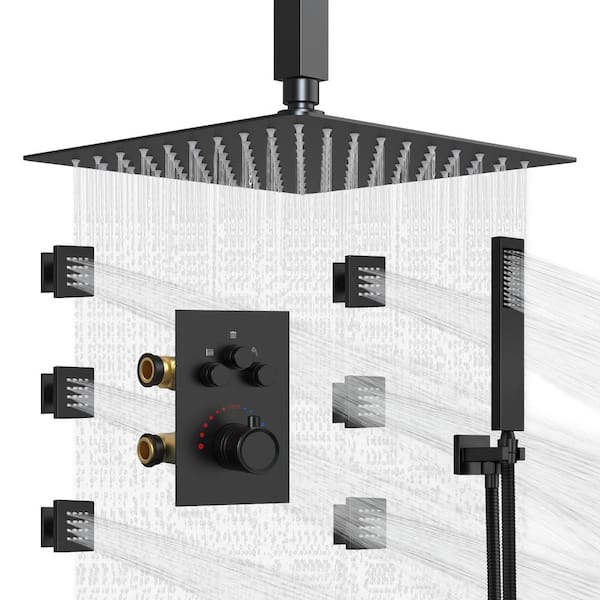 Everstein Luxury 7 Spray Patterns Thermostatic 12 In Ceiling Mount