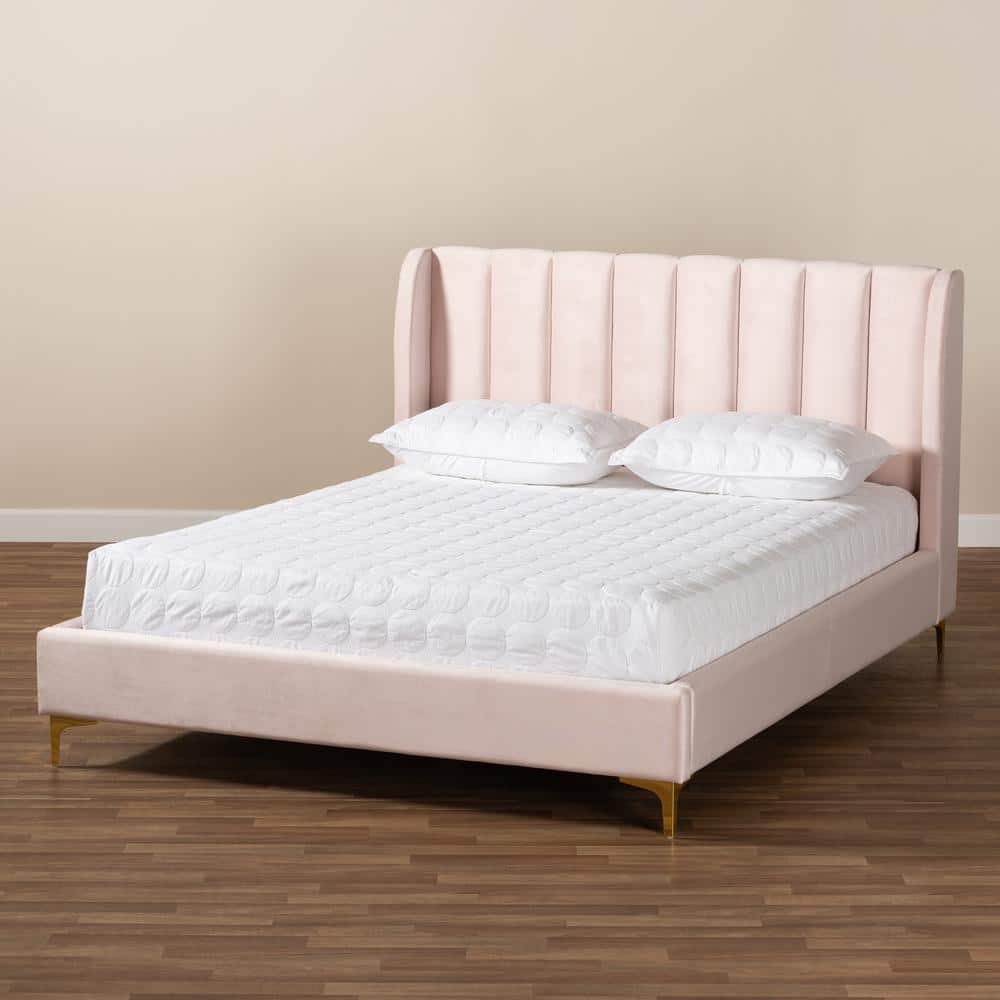 Light Pink Velvet Upholstered Queen Platform Bed with Gold Legs