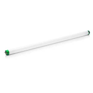 15-Watt 18 in. Linear T8 Fluorescent Tube Light Bulb Soft White (3000K) Tube Light Bulb (6-Pack)