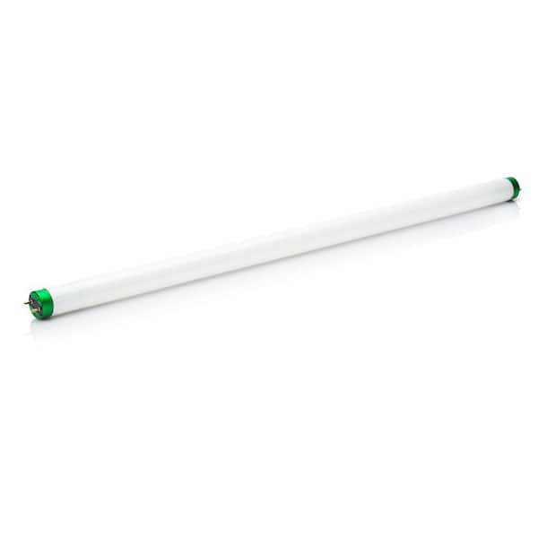 Philips 15-Watt 18 in. Linear T8 Fluorescent Tube Light Bulb Soft White (3000K) Tube Light Bulb (6-Pack)