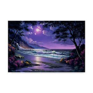 Anthony Casay 'Coastline 1' Canvas Unframed Photography Wall Art 16 in. x 24 in