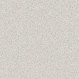 Alpine - Purity - Beige 17.3 oz. Polyester Texture Installed Carpet