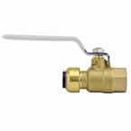 1/2 in. Brass Push-to-Connect x Female Pipe Thread Ball Valve