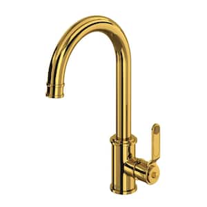 Armstrong Single Handle Bar Faucet in Unlacquered Brass