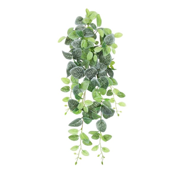 32 in. Artificial Fittonia Ivy Leaf Vine Hanging Plant Greenery Foliage Bush