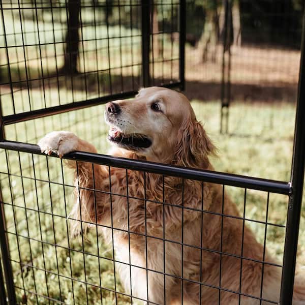 Lucky Dog Stay Series Executive Kennel- Steel Grey (8 ft. x