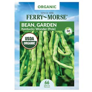 Organic Bean Kentucky Wonder Fruit Seed