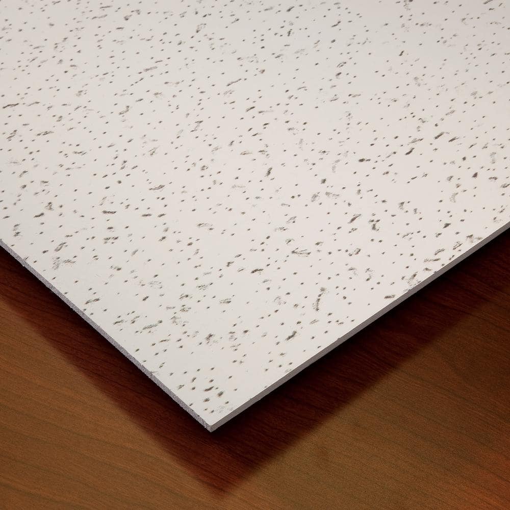 White Matte PVC 2' x 4' Waterproof Ceiling Tile