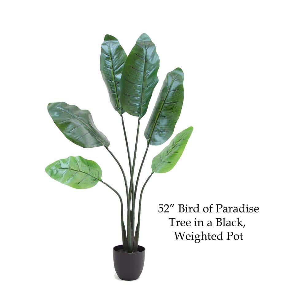 52" Green Artificial Bird of Paradise Tree in Black Plastic Pot