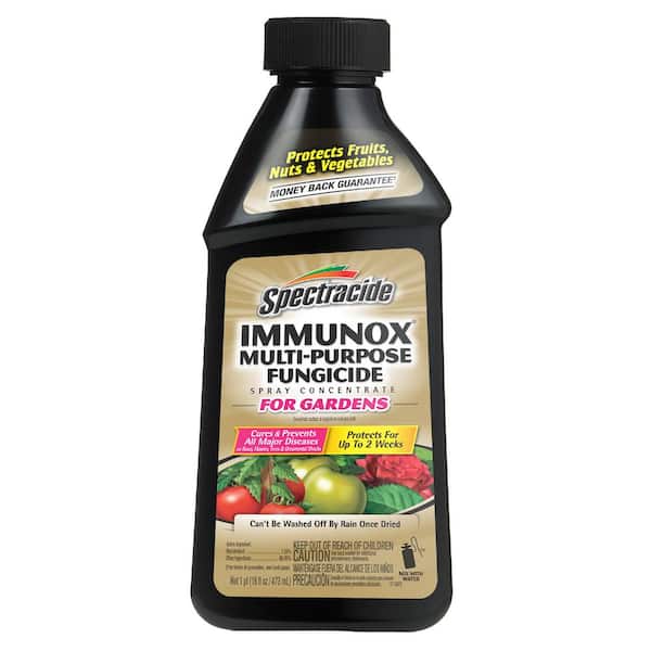 Spectracide Immunox Multi-Purpose Fungicide 16 oz Spray Concentrate For Gardens