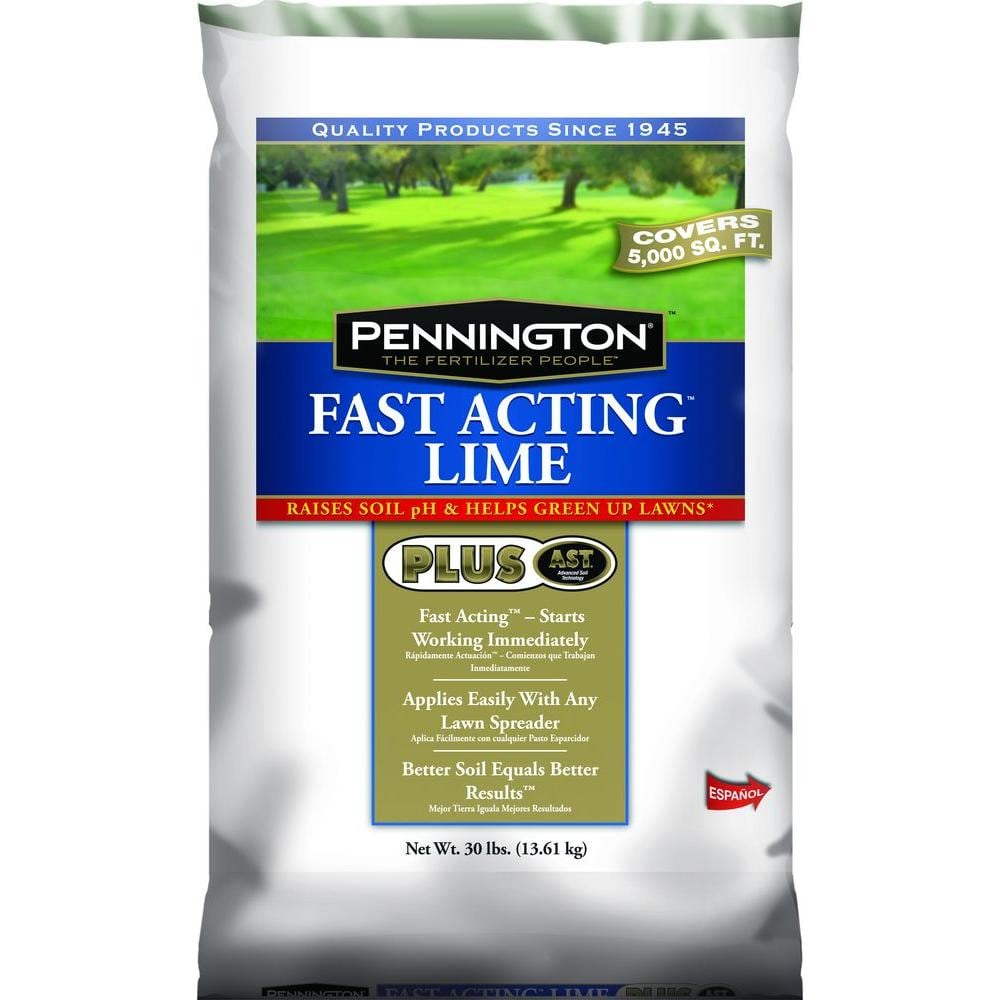 Bag of lime home depot online