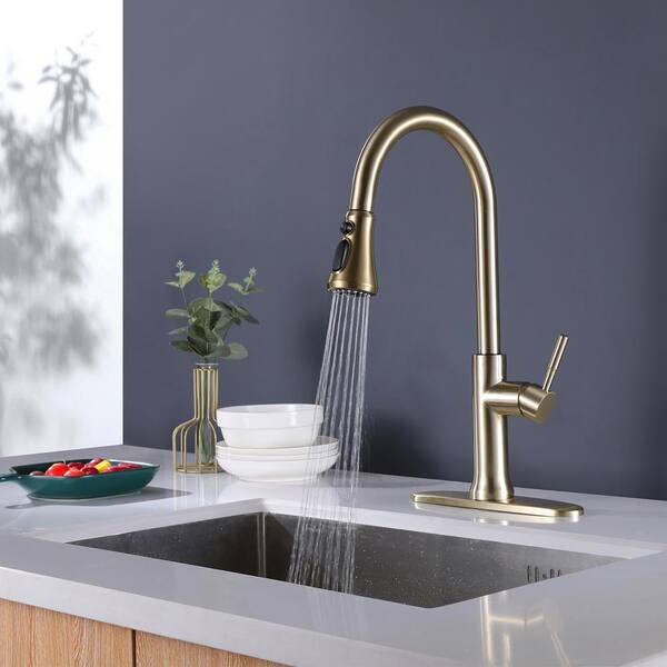 https://images.thdstatic.com/productImages/30a291a2-1632-4ae6-9593-ab34f39b6376/svn/brushed-gold-wellfor-pull-down-kitchen-faucets-wb-h-rb0808-44_600.jpg