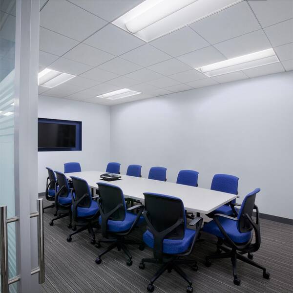 5 gal. #PPU16-08 Hint of Violet Dead Flat Interior Paint