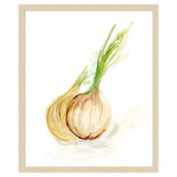 Amanti Art Veggie Sketch Onion by Marcy Chapman 21 in. W x 25 in. H. Wood Framed Wall Art Print Framed in Brown
