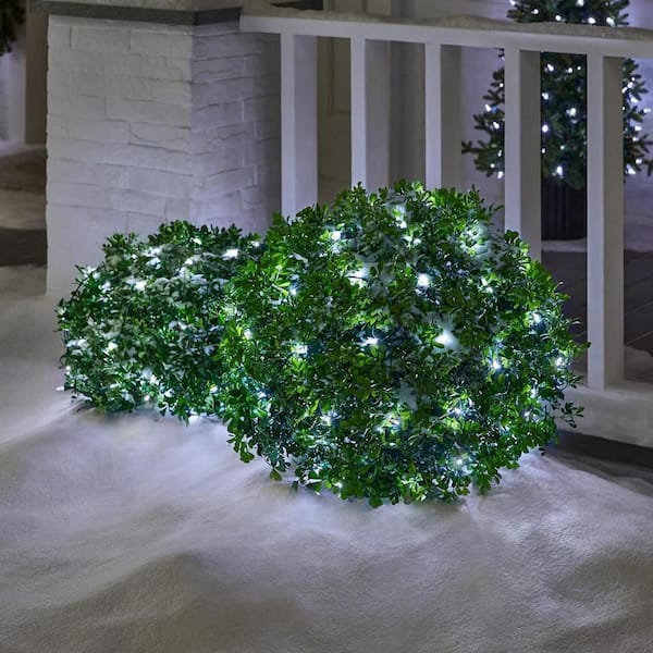 150 Count Cool White Steady Lit Mini LED Net Lights
