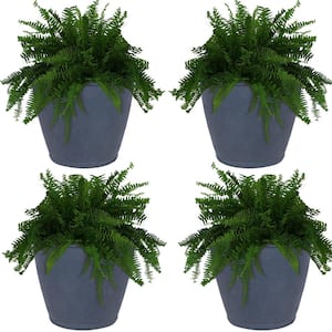 Anjelica 24 in. Slate Outdoor Resin Flower Pot Planter Slate (4-Pack) - Dark Grey