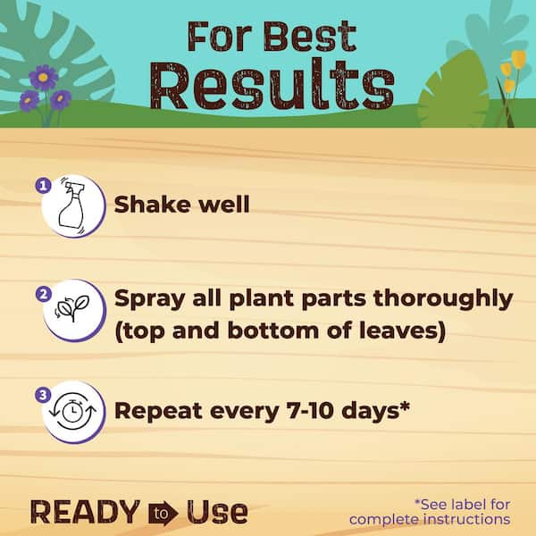 Bonide Captain Jack's Insecticidal Super Soap, 32 oz. Ready-to-Use Spray  For Organic Gardening and Outdoor Plants 6556 - The Home Depot