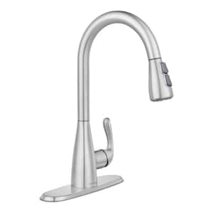 Carla Single-Handle Pull-Down Sprayer Kitchen Faucet in Stainless Steel