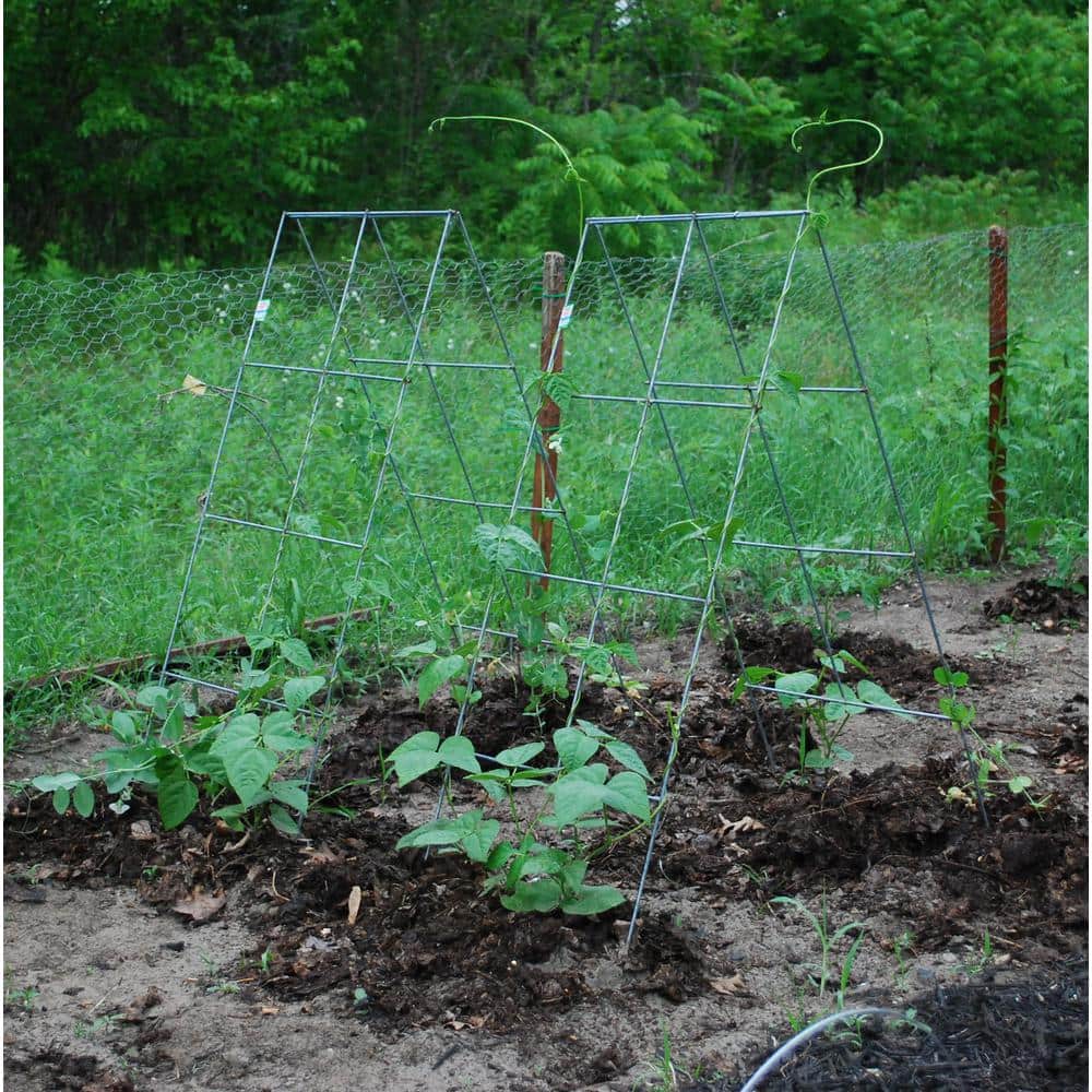 42" Silver Heavy Duty Steel A-Frame Plant Support Cage (5-Pack)