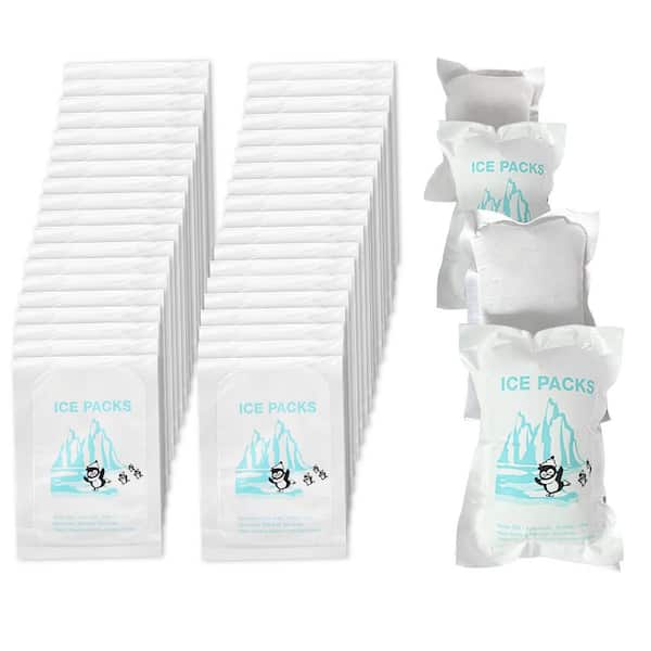 Unbranded 96-Pack Reusable Dry Ice Sheets for Shipping and Cooling, 4.7 in. x 3.3 in.